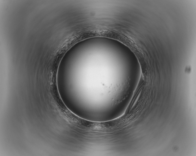 X0000093470750200710261042