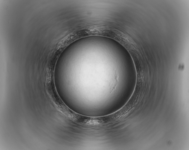 X0000093470751200710261042