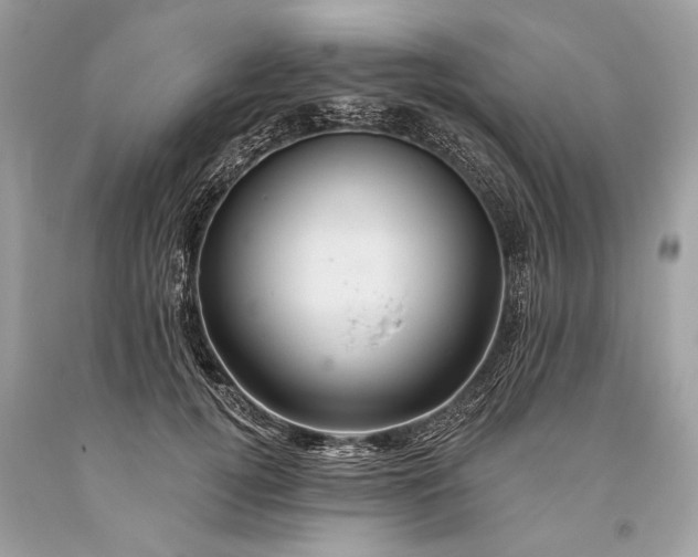 X0000093470752200710261042