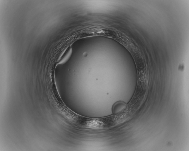 X0000093470754200710261043