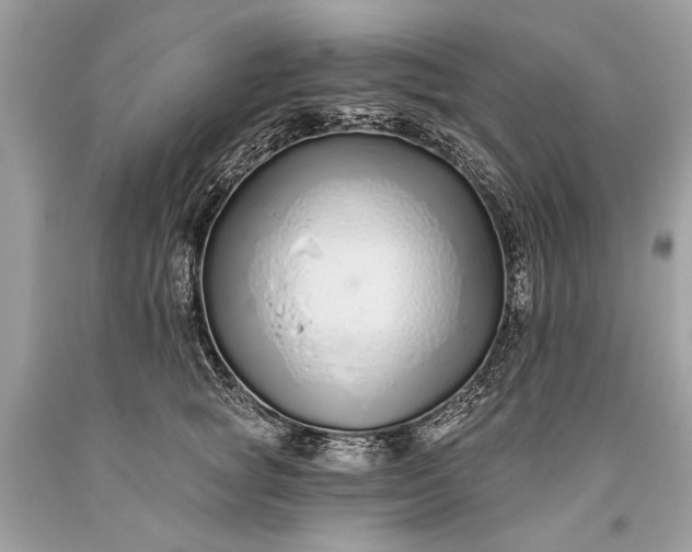 X0000093470757200710261043