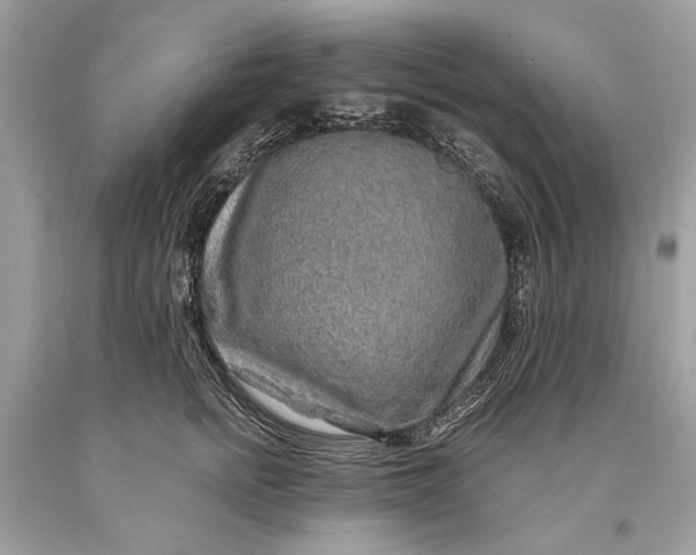 X0000093470758200710261043