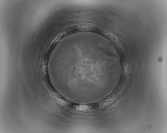 X0000093470759200710261043