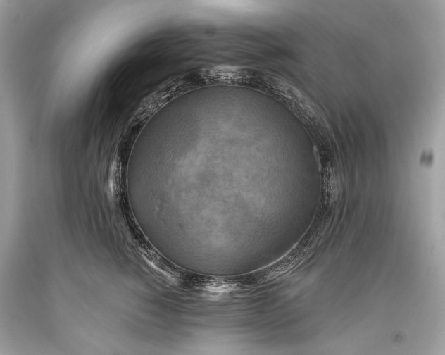 X0000093470760200710261043