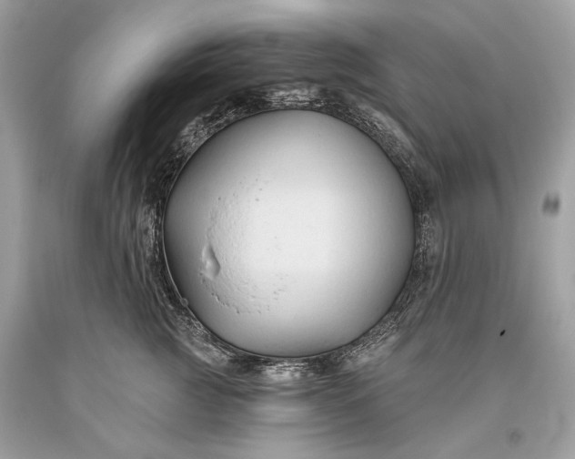 X0000093470761200710261043