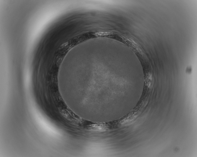 X0000093470763200710261043