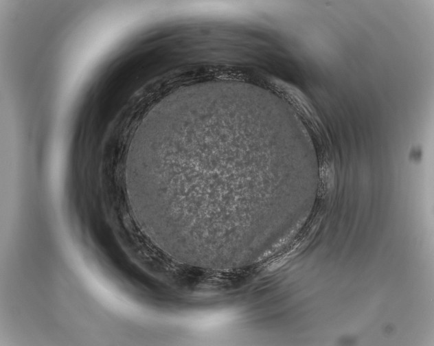 X0000093470765200710261043