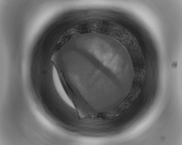 X0000093470766200710261043