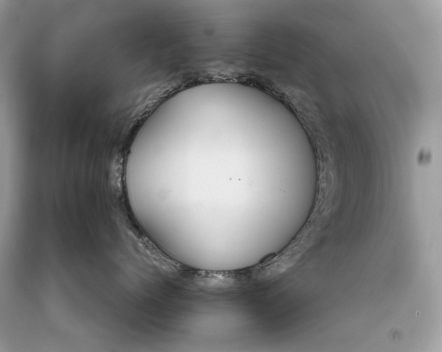 X0000093470768200710261043