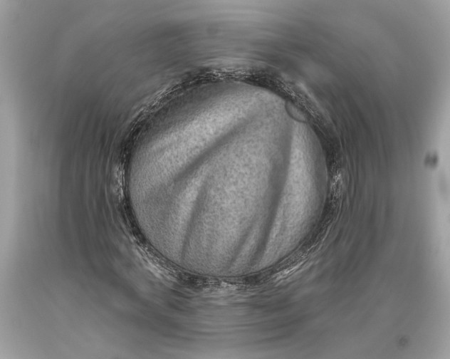 X0000093470772200710261042