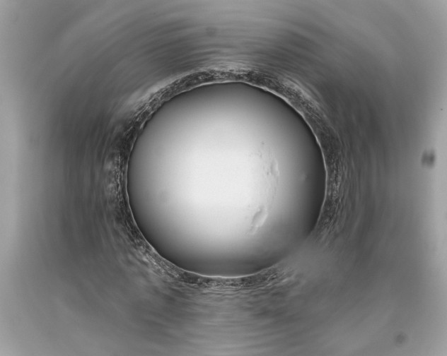 X0000093470773200710261042