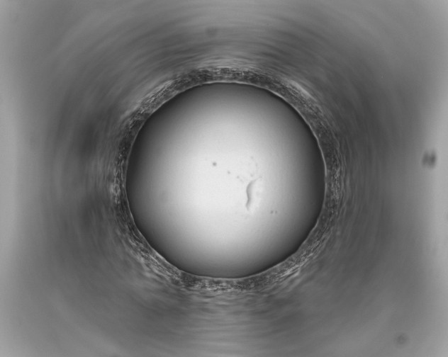 X0000093470774200710261042