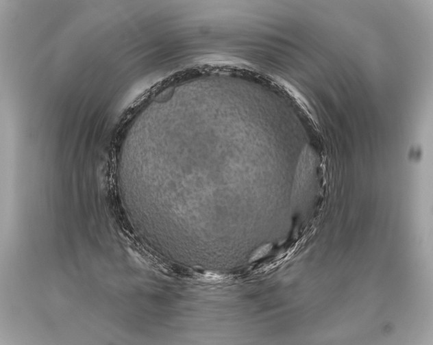 X0000093470775200710261042