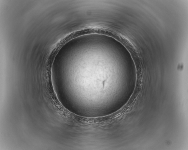 X0000093470776200710261042