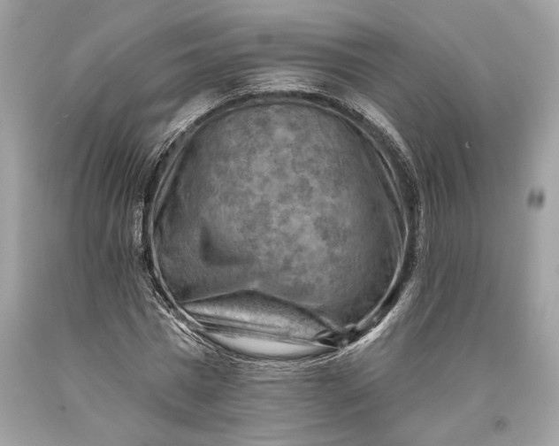 X0000093470777200710261042