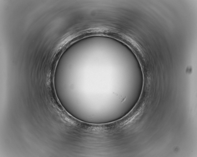 X0000093470778200710261042