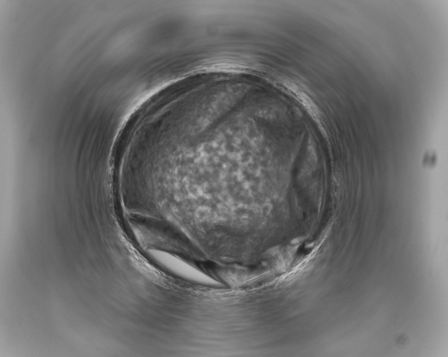 X0000093470779200710261042