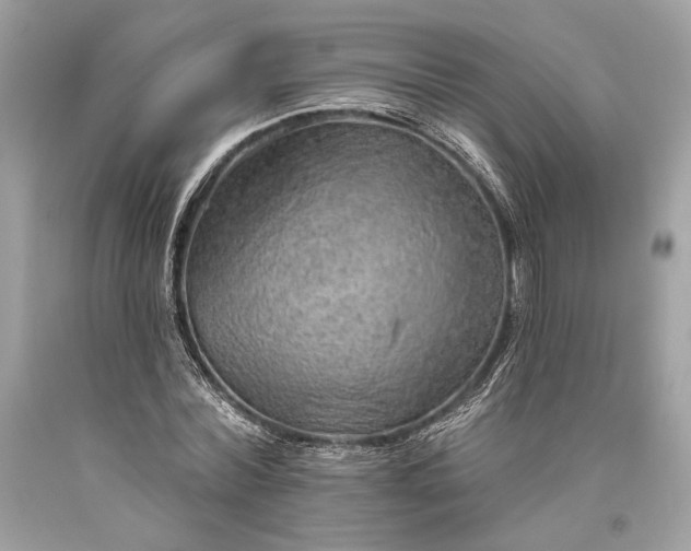 X0000093470780200710261042