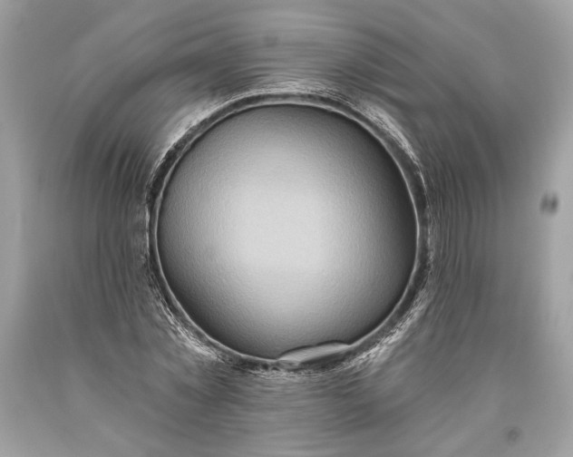 X0000093470781200710261042