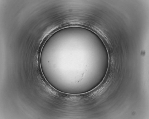 X0000093470782200710261042