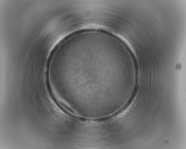 X0000093470783200710261042