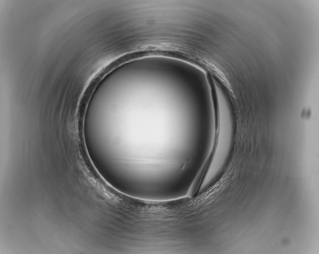 X0000093470784200710261042