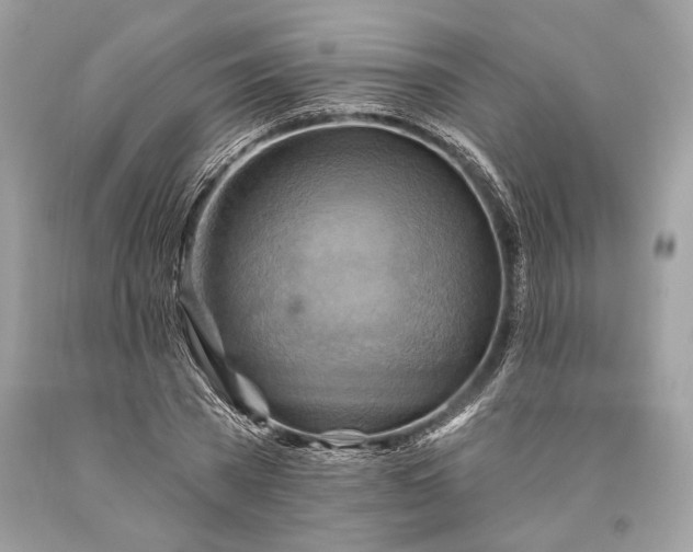 X0000093470785200710261042