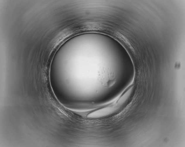 X0000093470786200710261042