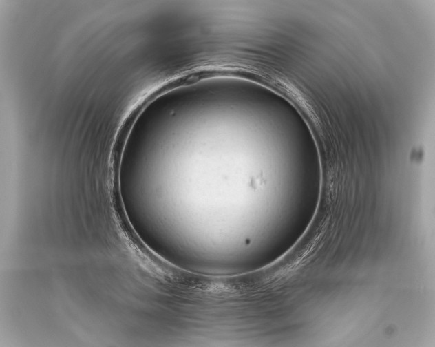 X0000093470787200710261042