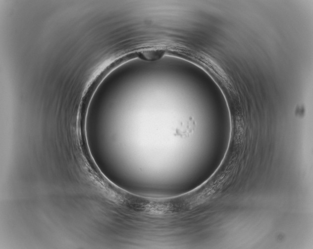 X0000093470788200710261042