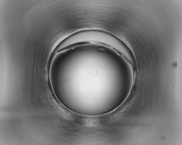 X0000093470789200710261042