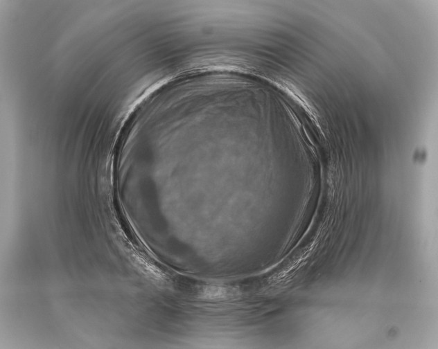 X0000093470790200710261042