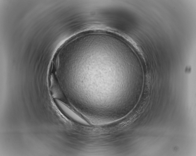 X0000093470791200710261042