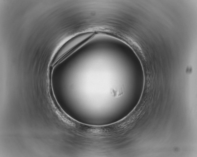 X0000093470792200710261042