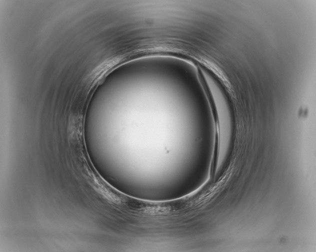 X0000093470793200710261042