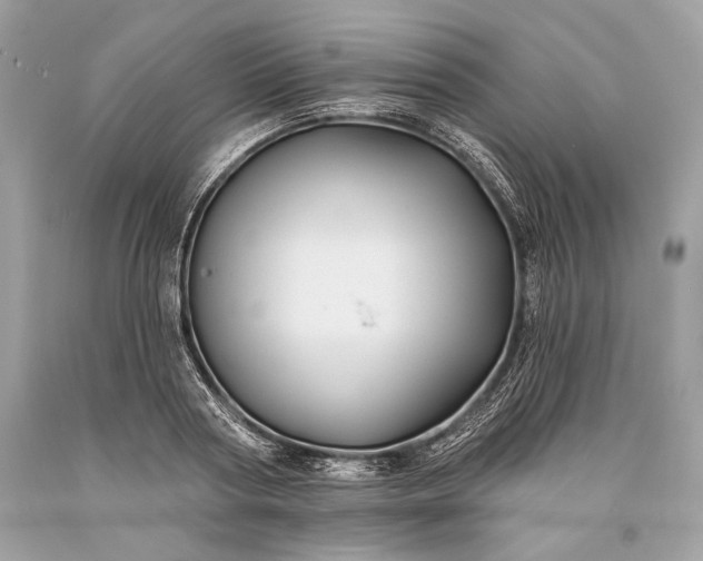 X0000093470794200710261042