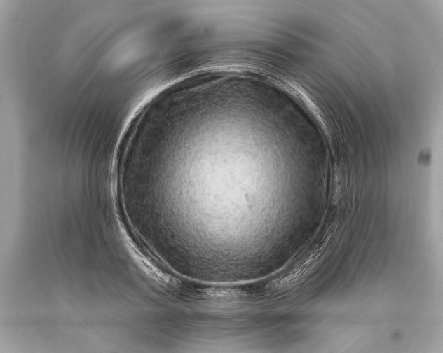 X0000093470795200710261042