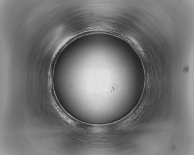 X0000093470796200710261042