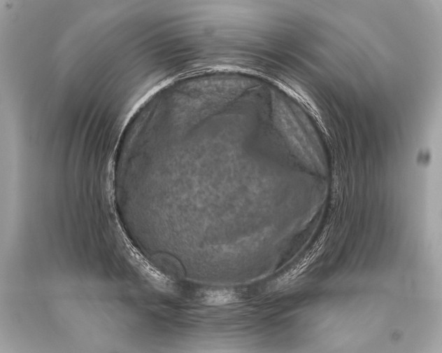 X0000093470798200710261042