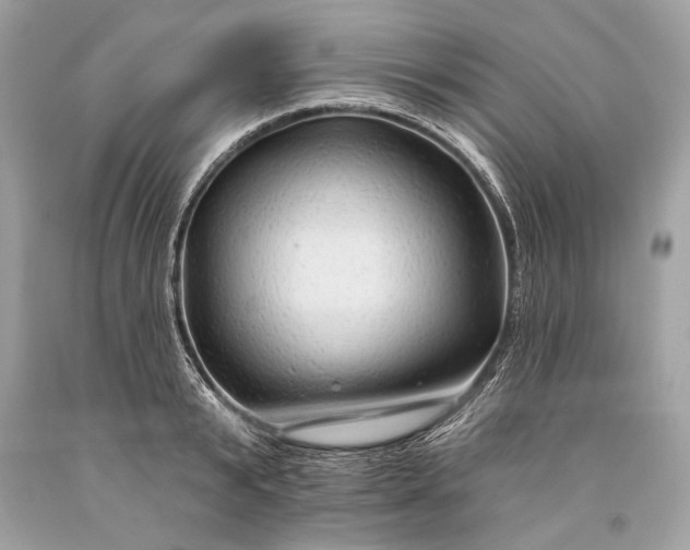 X0000093470799200710261042