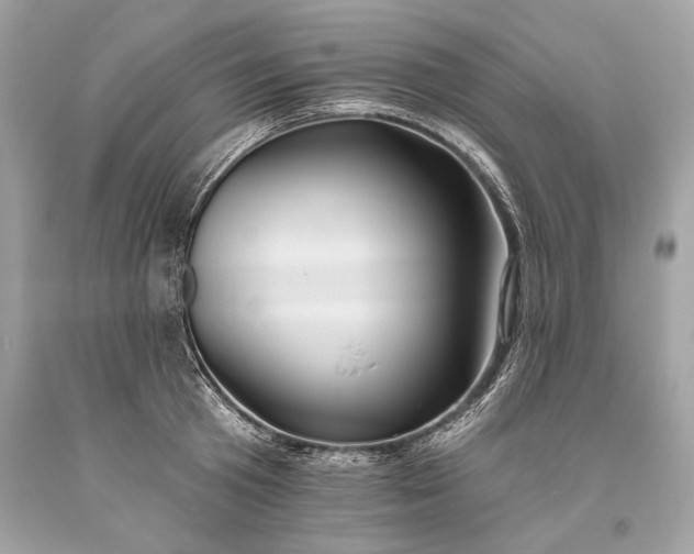 X0000093470801200710261042