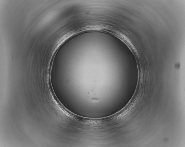 X0000093470802200710261042