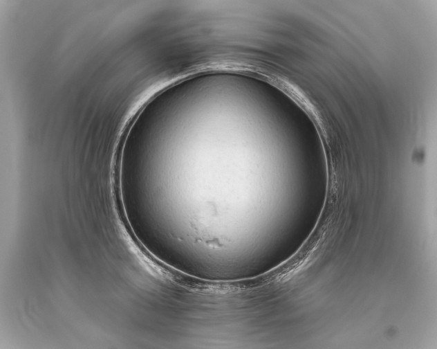 X0000093470803200710261042