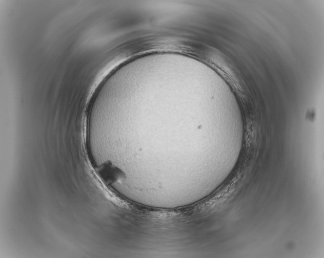 X0000093470804200710261042