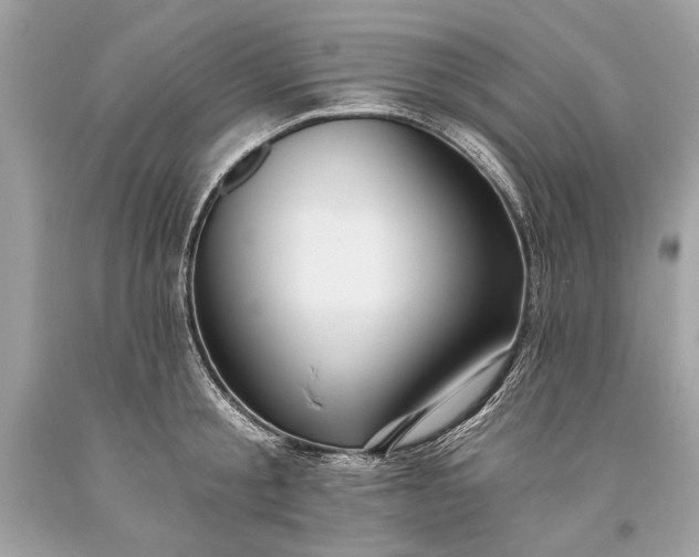 X0000093470805200710261042