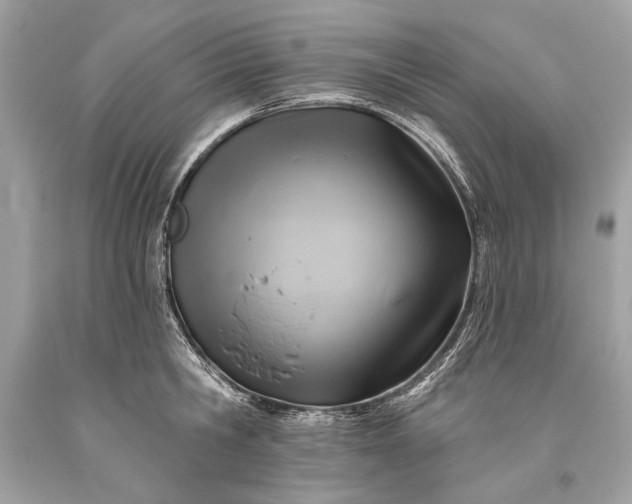 X0000093470806200710261042