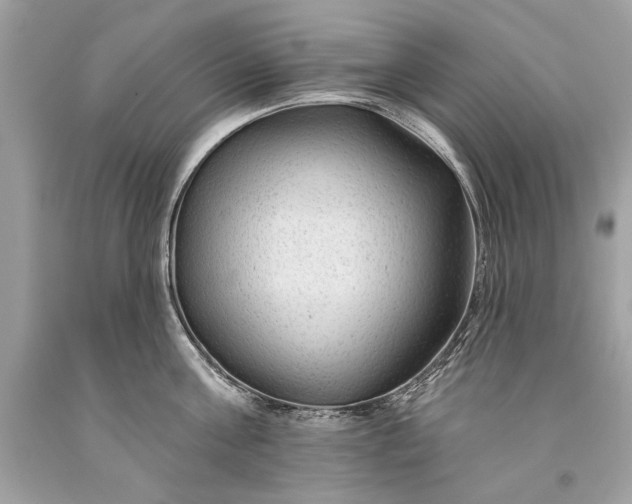 X0000093470811200710261041