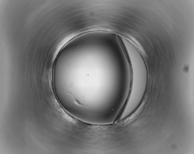 X0000093470812200710261041