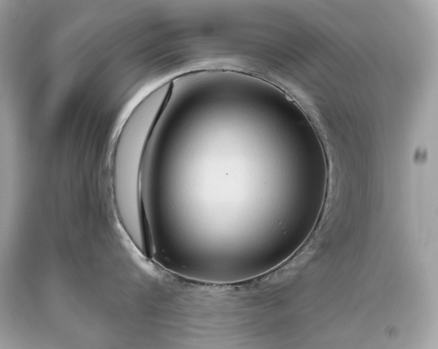 X0000093470816200710261041