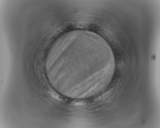 X0000093470817200710261041